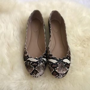 Chloe Lauren scalloped ballet flats